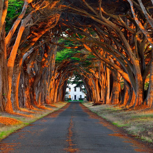 日本人妻与黑人HD
